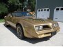 1978 Pontiac Trans Am for sale 101788802