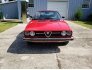1979 Alfa Romeo Other Alfa Romeo Models for sale 101570549