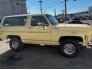 1979 Chevrolet Blazer for sale 101713903