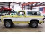 1979 Chevrolet Blazer for sale 101741011