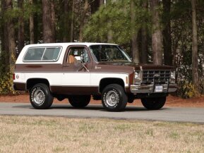 1979 Chevrolet Blazer for sale 101931372