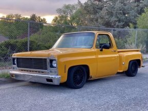 1979 Chevrolet C/K Truck for sale 101587799