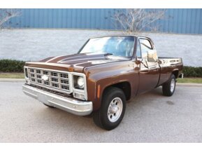 1979 Chevrolet C/K Truck Silverado for sale 101733405