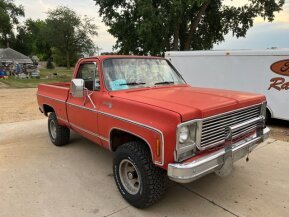 1979 Chevrolet C/K Truck for sale 101751698