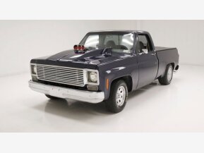 1979 Chevrolet C/K Truck for sale 101760493