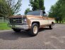 1979 Chevrolet C/K Truck for sale 101767624
