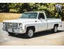1979 Chevrolet C/K Truck for sale 101798693