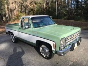 1979 Chevrolet C/K Truck for sale 101822210