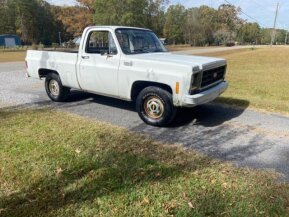 1979 Chevrolet C/K Truck for sale 101823598