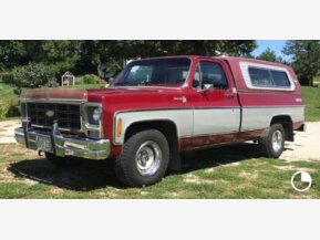 1979 Chevrolet C/K Truck for sale 101827385
