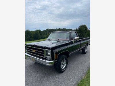 1979 Chevrolet C/K Truck for sale 101863090