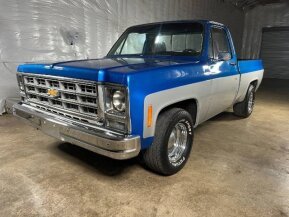 1979 Chevrolet C/K Truck for sale 101948934