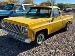1979 Chevrolet C/K Truck for sale 101962952