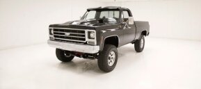1979 Chevrolet C/K Truck for sale 101973574