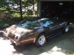 Thumbnail Photo 4 for 1979 Chevrolet Corvette Coupe for Sale by Owner