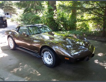 Photo 1 for 1979 Chevrolet Corvette Coupe for Sale by Owner