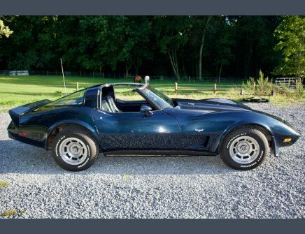 Photo 1 for 1979 Chevrolet Corvette L for Sale by Owner