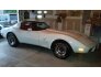 1979 Chevrolet Corvette for sale 101586962