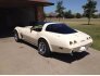 1979 Chevrolet Corvette for sale 101586975