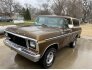 1979 Ford Bronco for sale 101711374