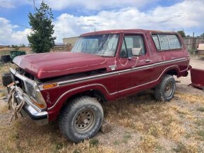 1979 Ford Bronco for sale 101924090