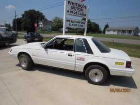 1979 Ford Mustang for sale 101570302