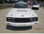 1979 Ford Mustang for sale 101570302