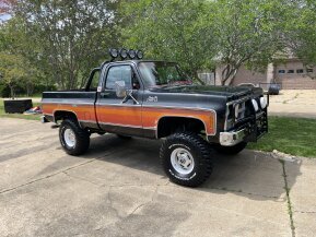1979 GMC C/K 1500 for sale 101936331