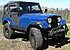 1979 Jeep CJ-5 for sale 101294101