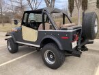 Thumbnail Photo 1 for 1979 Jeep CJ-7 for Sale by Owner