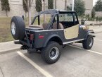 Thumbnail Photo 3 for 1979 Jeep CJ-7 for Sale by Owner