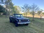 Thumbnail Photo 1 for 1979 Jeep J10 for Sale by Owner