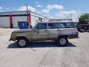1979 Jeep Wagoneer Limited for sale 101669474