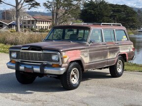 1979 Jeep Wagoneer for sale 101714158