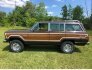1979 Jeep Wagoneer for sale 101847341