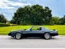 1979 Pontiac Firebird for sale 101622689