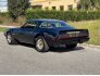 1979 Pontiac Firebird Coupe for sale 101652209