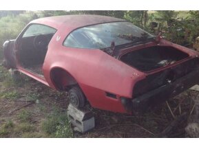 1979 Pontiac Firebird for sale 101662323