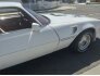 1979 Pontiac Firebird for sale 101765971