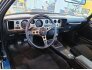 1979 Pontiac Firebird Trans Am for sale 101787877