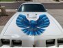 1979 Pontiac Firebird for sale 101803745