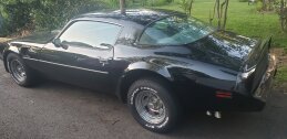 1979 Pontiac Trans Am