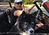 1979 Triumph Spitfire for sale 101531956