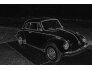 1979 Volkswagen Beetle for sale 101768277