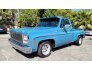 1980 Chevrolet C/K Truck for sale 101714282