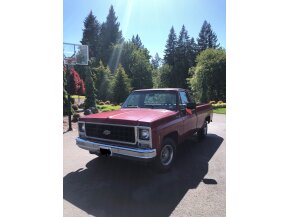 1980 Chevrolet C/K Truck C10 for sale 101742075