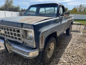 1980 Chevrolet C/K Truck Scottsdale for sale 101827896