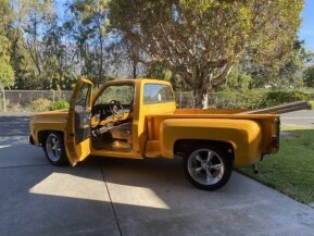 1980 Chevrolet C/K Truck for sale 101829872