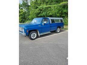 1980 Chevrolet C/K Truck C20 for sale 101775901