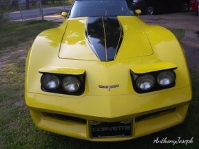 1980 Chevrolet Corvette for sale 101587228